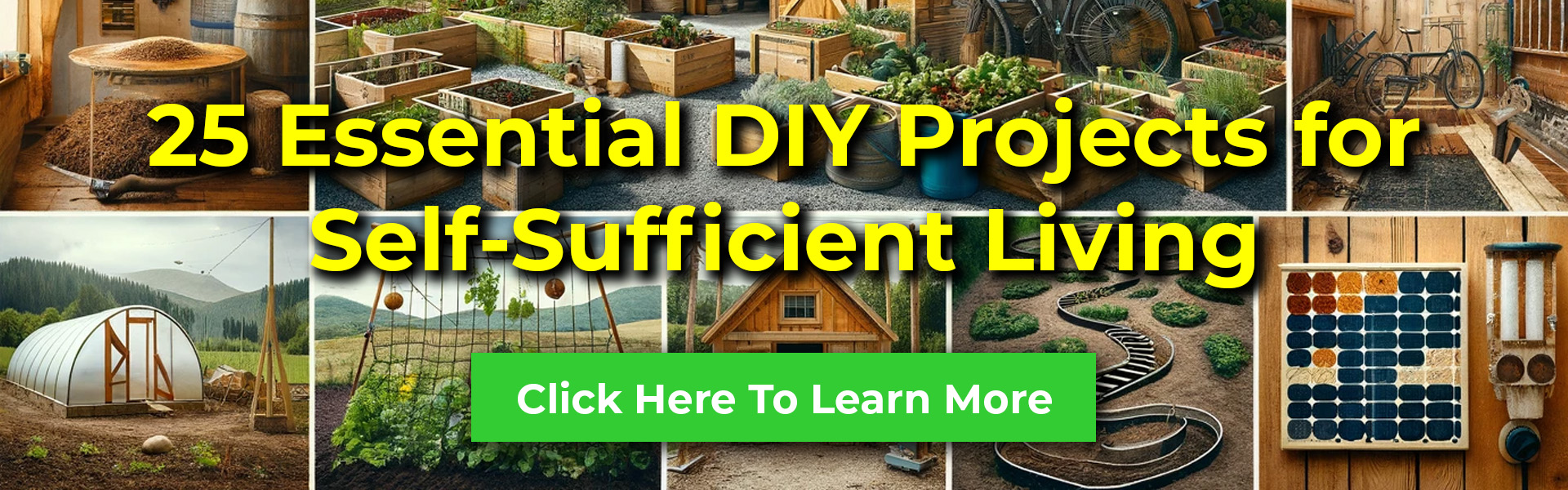 DIY Self Sufficient Living